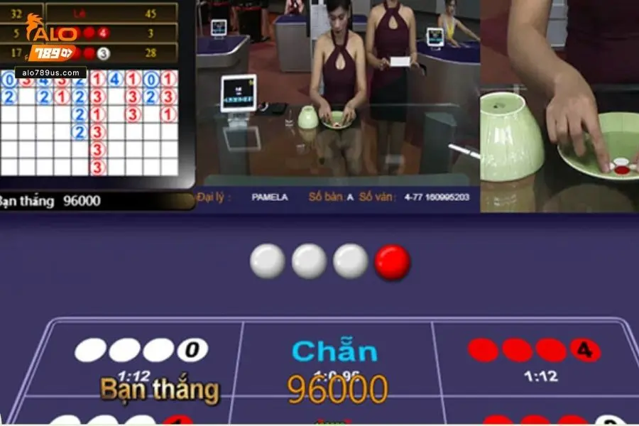 Chơi xóc đĩa người chơi sẽ đặt vào tổ hợp trắng/ đen