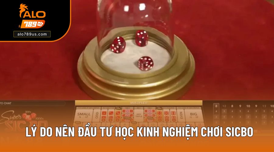 Lý do nên đầu tư học kinh nghiệm chơi Sicbo
