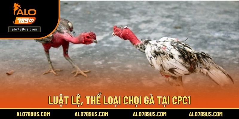 Luật lệ, thể loại chọi gà tại CPC1