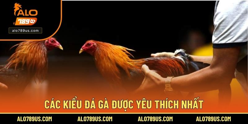 Các kiểu đá gà được yêu thích nhất.