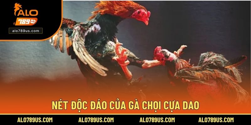 Nét độc đáo của gà chọi cựa dao