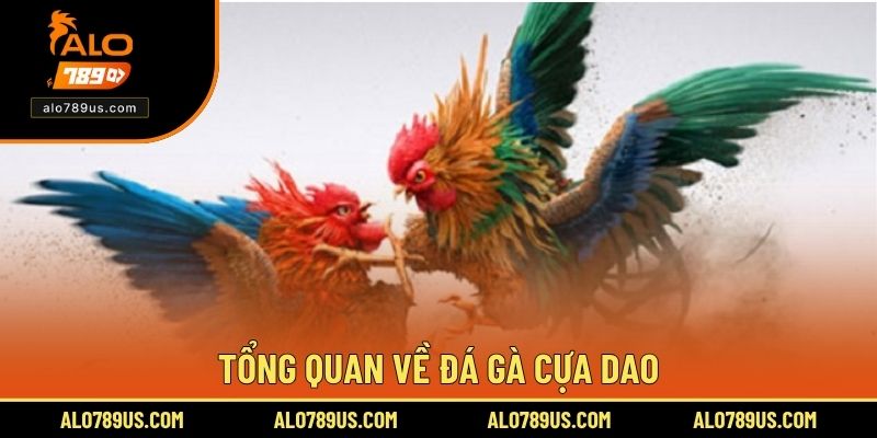 Tổng quan về đá gà cựa dao